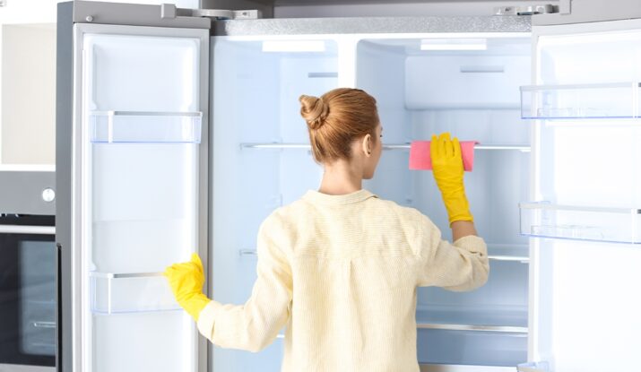 Refrigerator Cleaning: A Key to Freshness and Efficiency Refrigerator Cleaning: A Key to Freshness and Efficiency